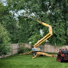 Best Artificial Turf Installation  in Jeffersonville, IN