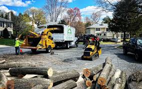 Best Tree Preservation Services  in Jeffersonville, IN