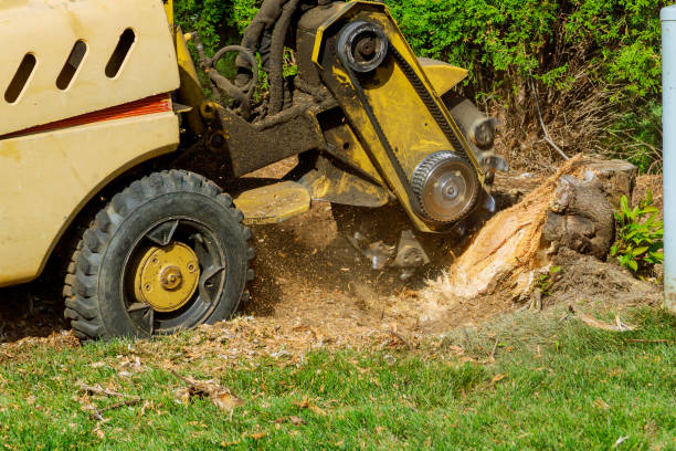 Best Lawn Grading and Leveling  in Jeffersonville, IN