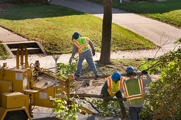 Best Firewood Processing and Delivery  in Jeffersonville, IN